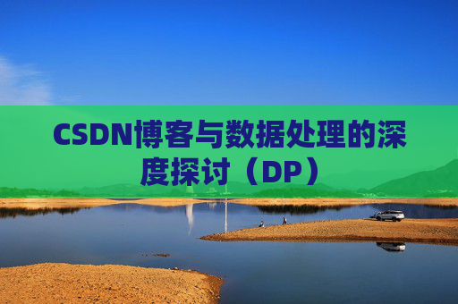CSDN博客与数据处理的深度探讨（DP）